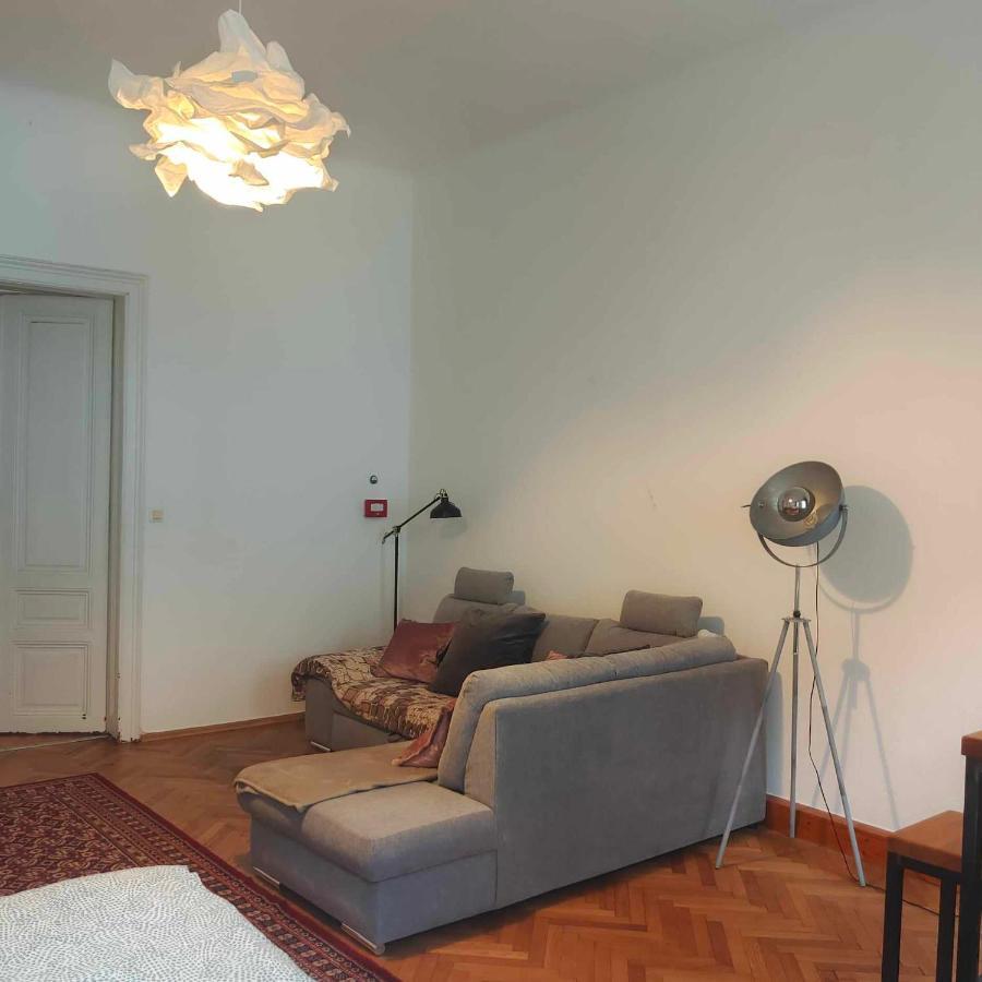 Large 4 Room Apartment In The Center Of Viena Exterior foto